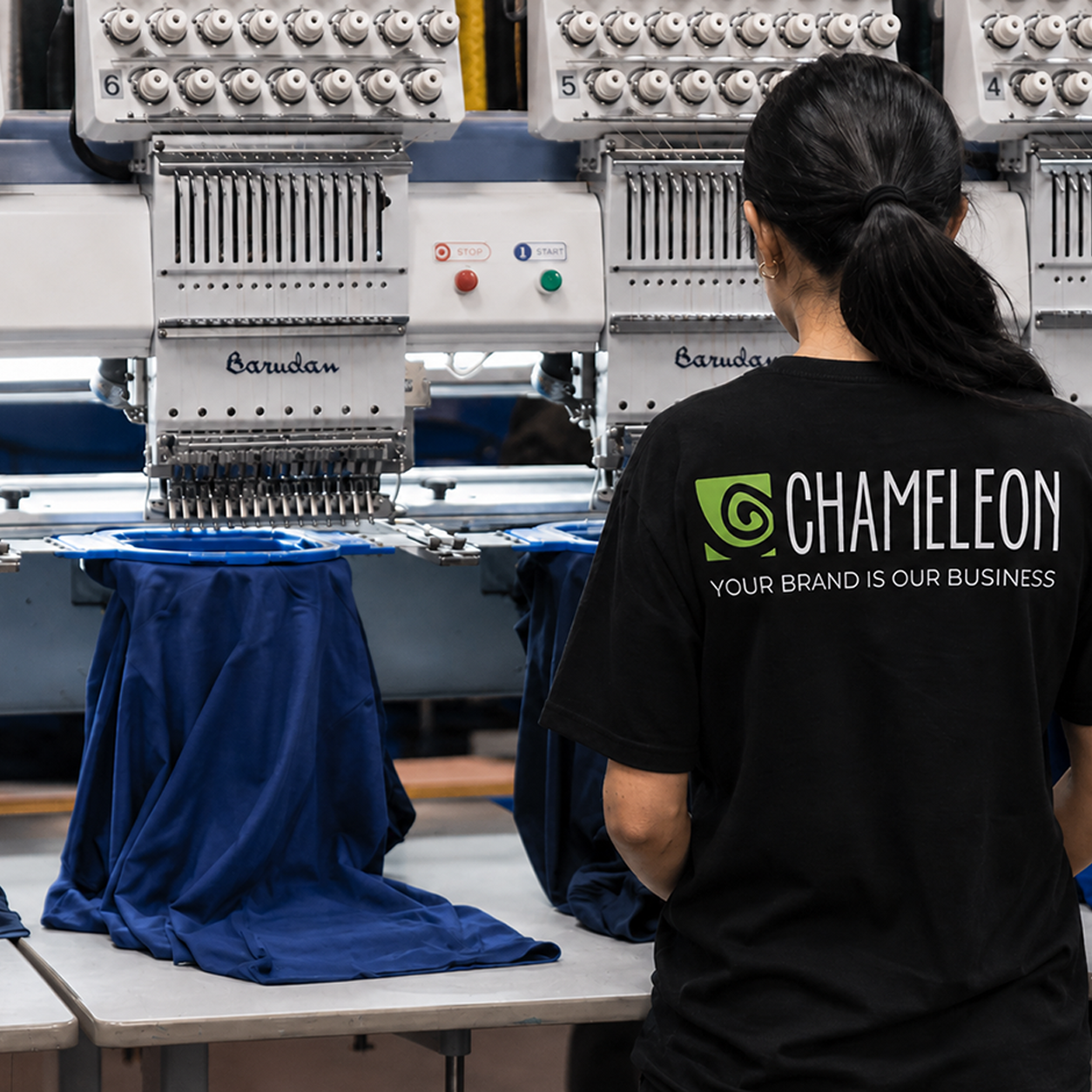 ChameleonUSA